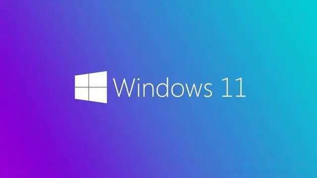 如何在Win11中阻止Windows Update自动更新驱动程序？