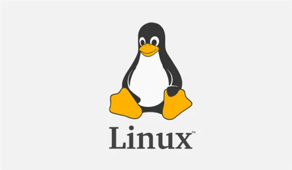 哪个Linux发行版被广泛认为是最稳定的？