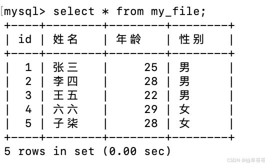 如何使用Python将CSV文件的数据读取并存储到数据库中