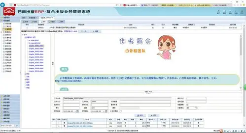 云章多学科编辑器EPUB.webp