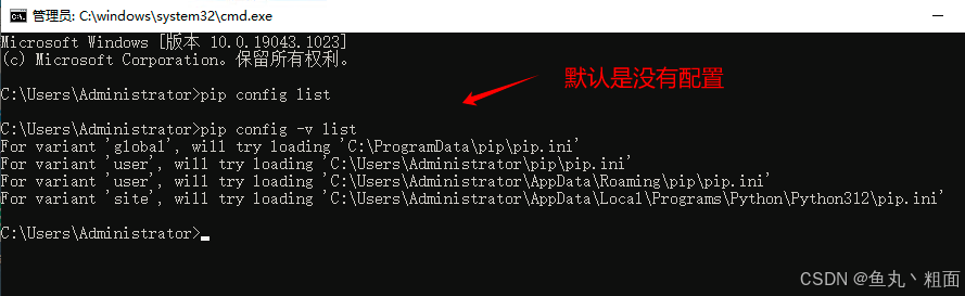 Python更换pip镜像源的详细步骤流程