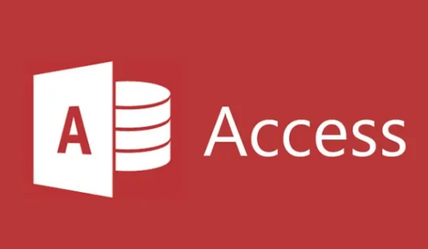 Microsoft Access.jpeg