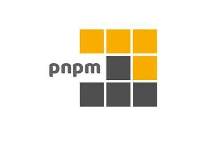 pnpm包管理器.webp