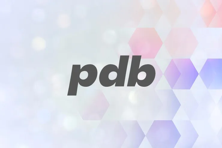 pdb文件.webp