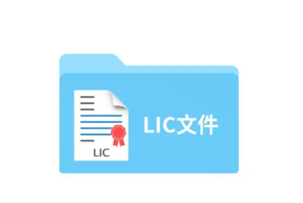 lic文件.webp