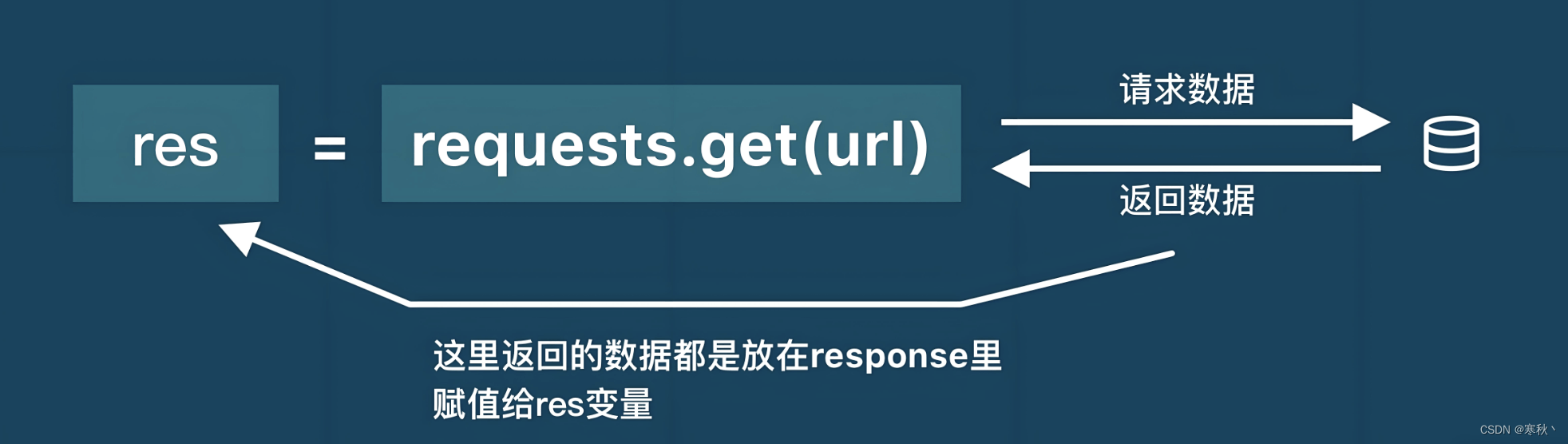 Python Requests库全面解析及实战用法详解