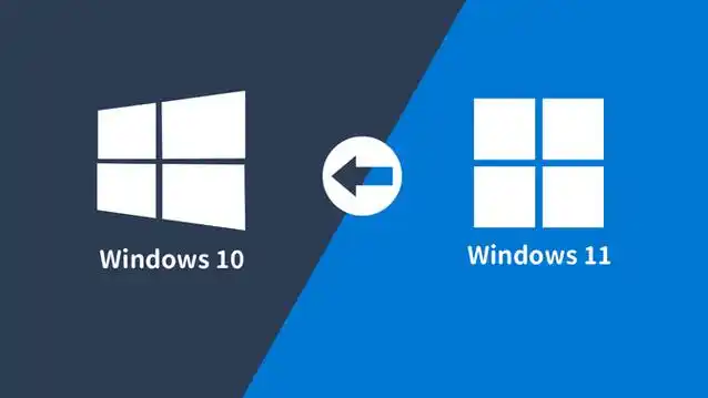 Win10和Win11.webp