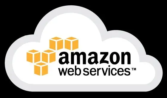 亚马逊服务器,亚马逊云服务器,aws.webp